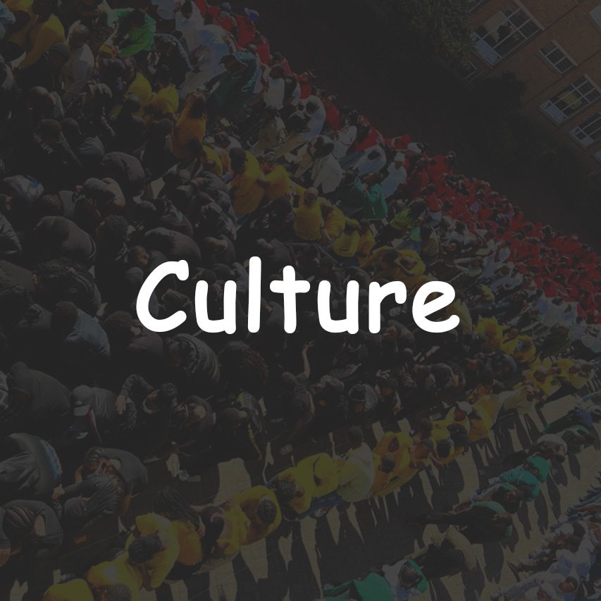 Culture highlights